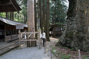 070510-kamihonki.jpg