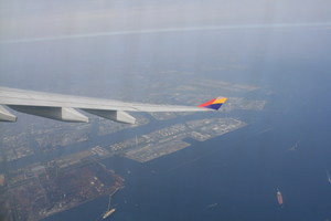 080502-fly.jpg