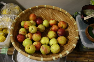 090722-plum.jpg