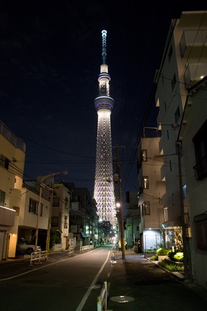 120613-skytree.jpg